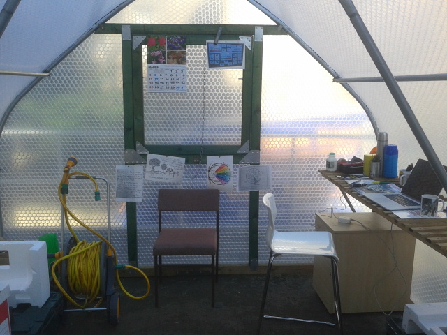 Inside the polytunnel
