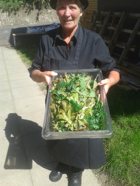 Salad leaves