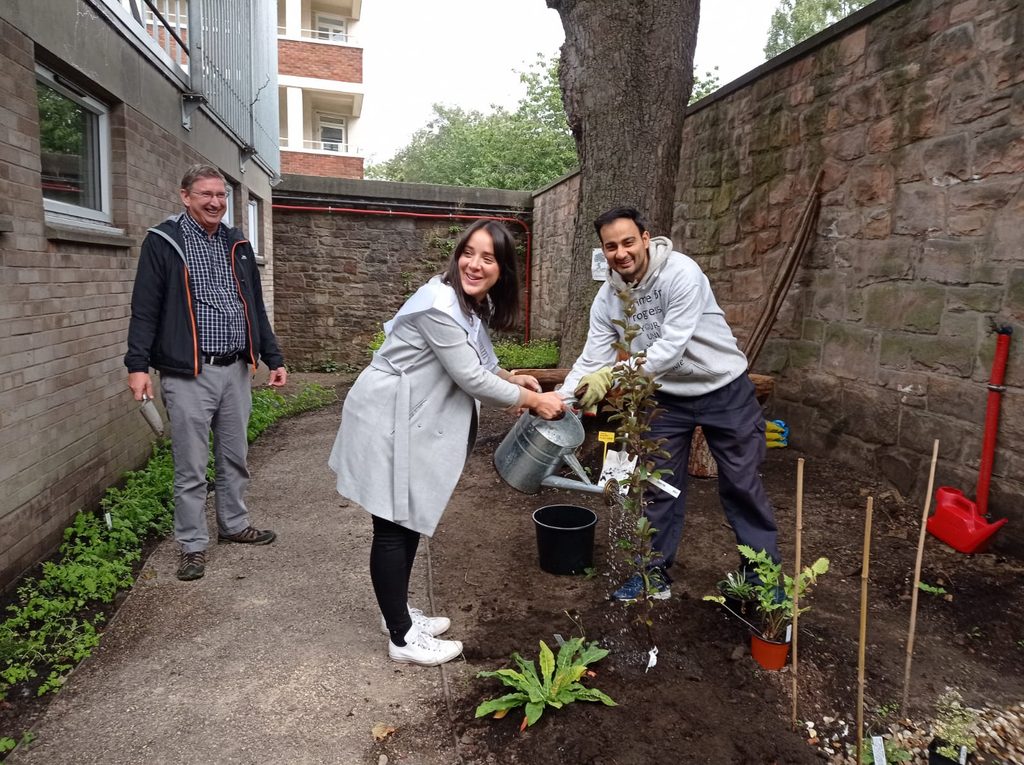 Planting a trww