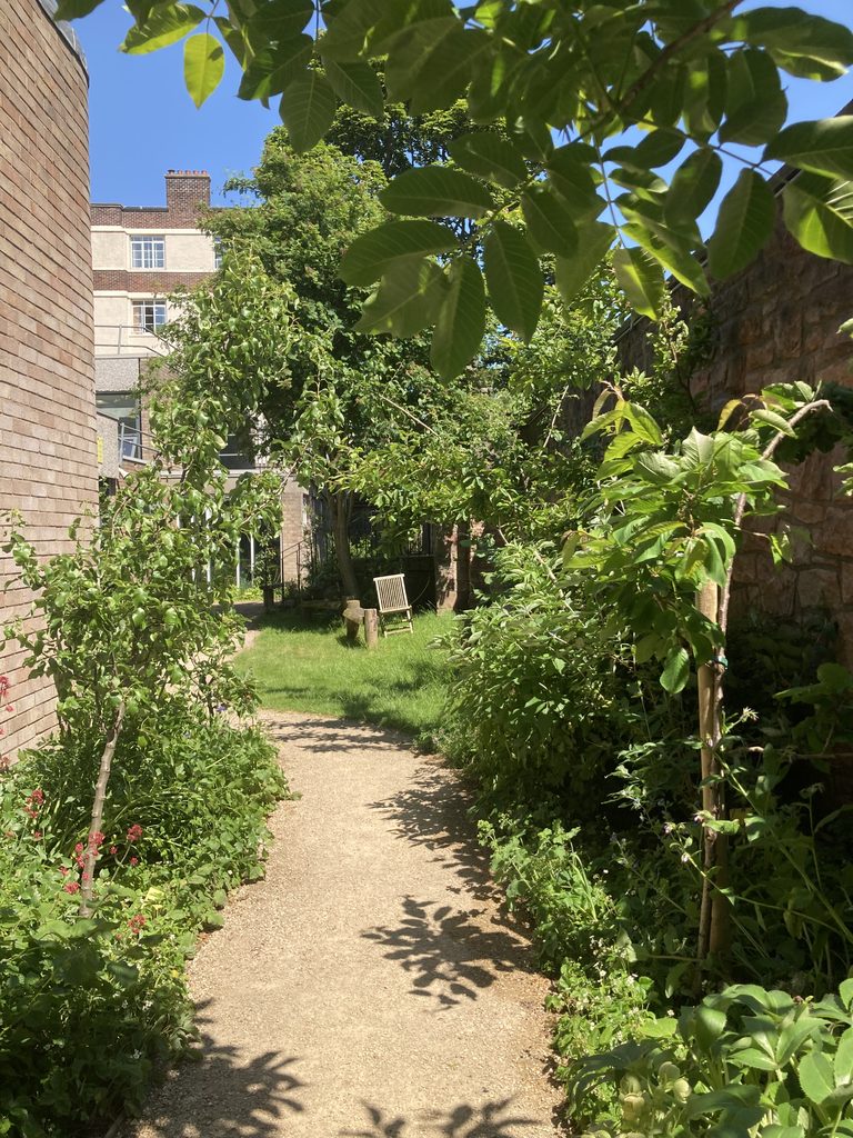 Food forest